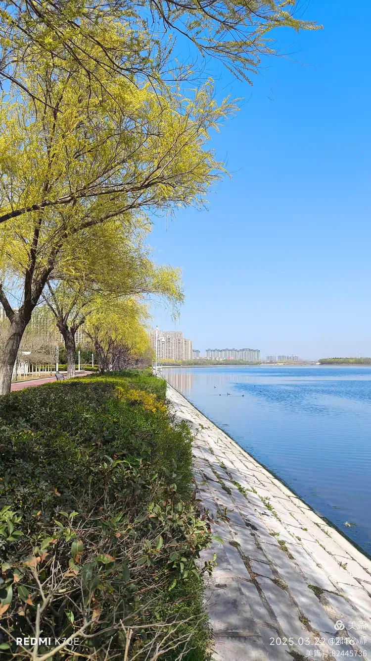 宋金河春日游记